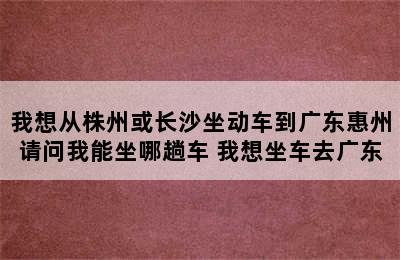 我想从株州或长沙坐动车到广东惠州请问我能坐哪趟车 我想坐车去广东